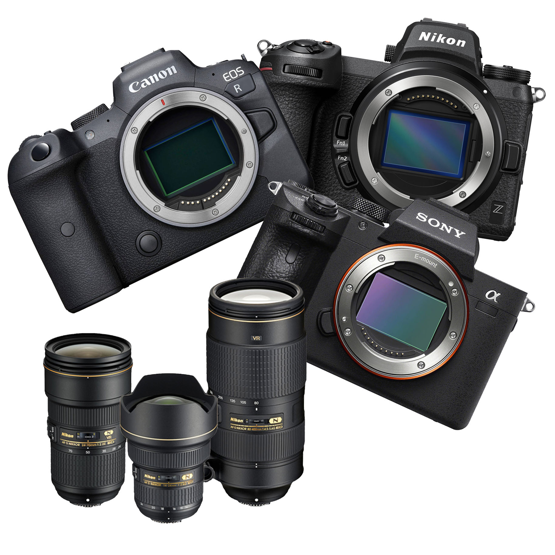 picture of different camera brands including Sony, Canon and Nikon with some lenses
